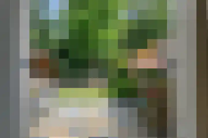 Hondiusstraat 25 Maarssen thumbnail 46