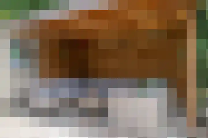 Hondiusstraat 25 Maarssen thumbnail 50