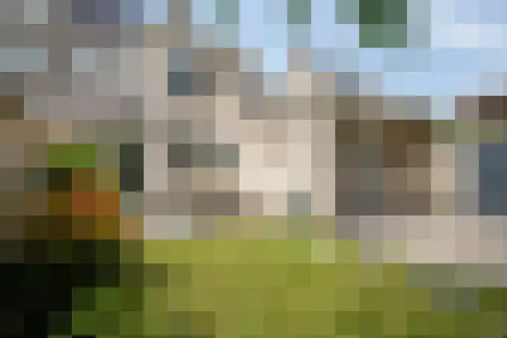 Hondiusstraat 25 Maarssen thumbnail 52