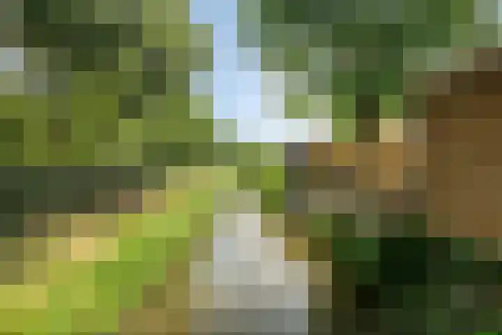Hondiusstraat 25 Maarssen thumbnail 54
