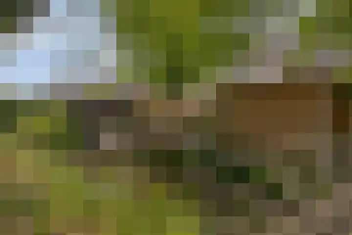 Hondiusstraat 25 Maarssen thumbnail 55