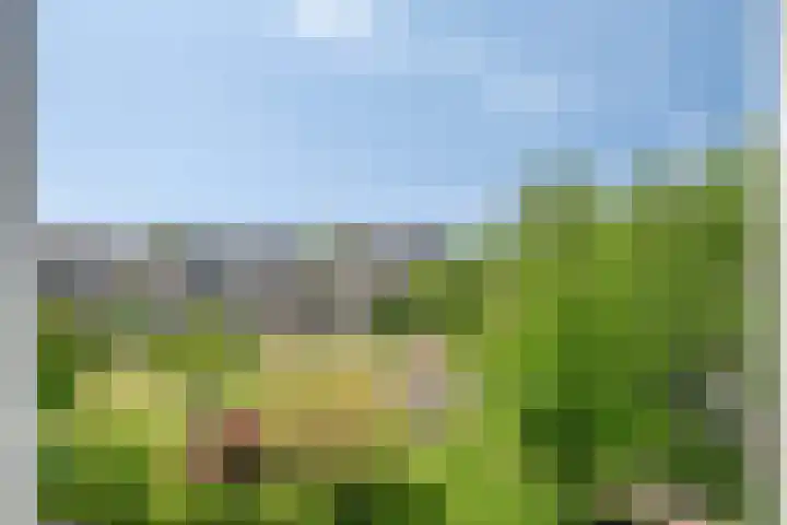Hondiusstraat 25 Maarssen thumbnail 56