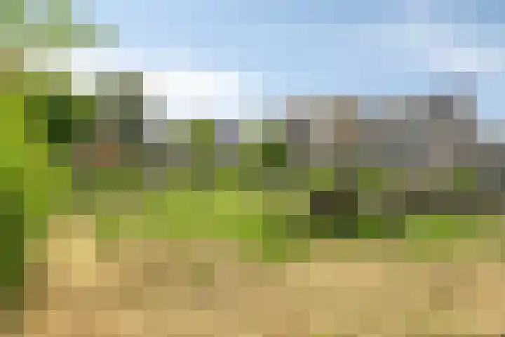 Hondiusstraat 25 Maarssen thumbnail 57