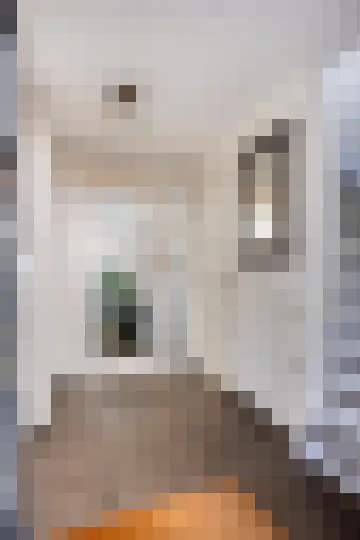Hondiusstraat 25 Maarssen thumbnail 6