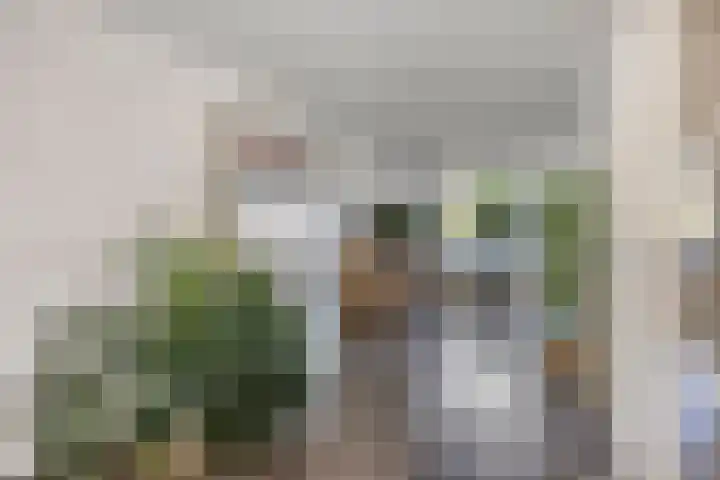 Hondiusstraat 25 Maarssen thumbnail 8