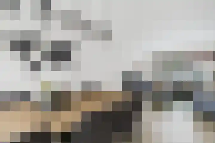 Hondiusstraat 29 Terneuzen thumbnail 13