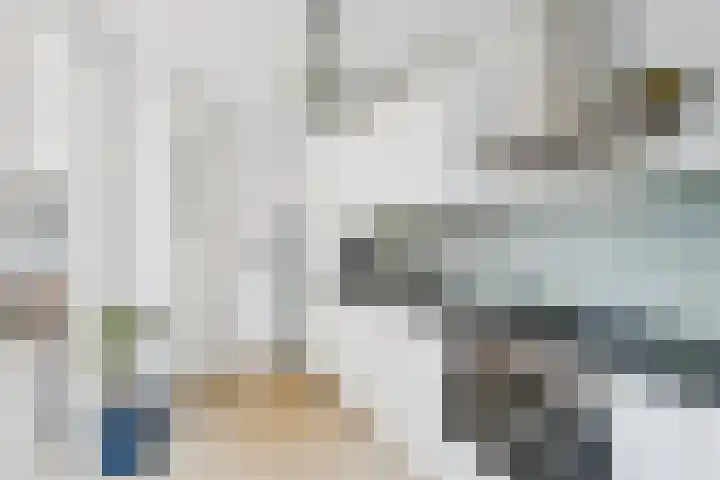 Hondiusstraat 29 Terneuzen thumbnail 17