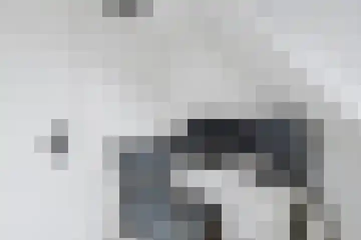 Hondiusstraat 29 Terneuzen thumbnail 29