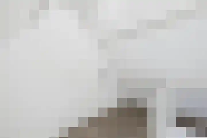 Hondiusstraat 29 Terneuzen thumbnail 31