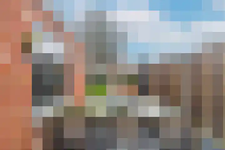 Hondiusstraat 29 Terneuzen thumbnail 34