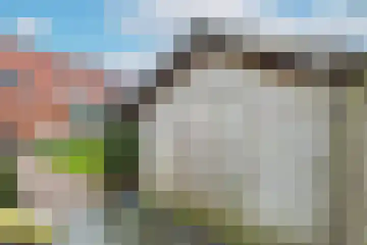 Hondiusstraat 29 Terneuzen thumbnail 36