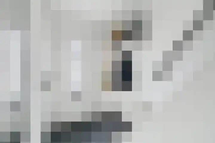 Hondiusstraat 29 Terneuzen thumbnail 8