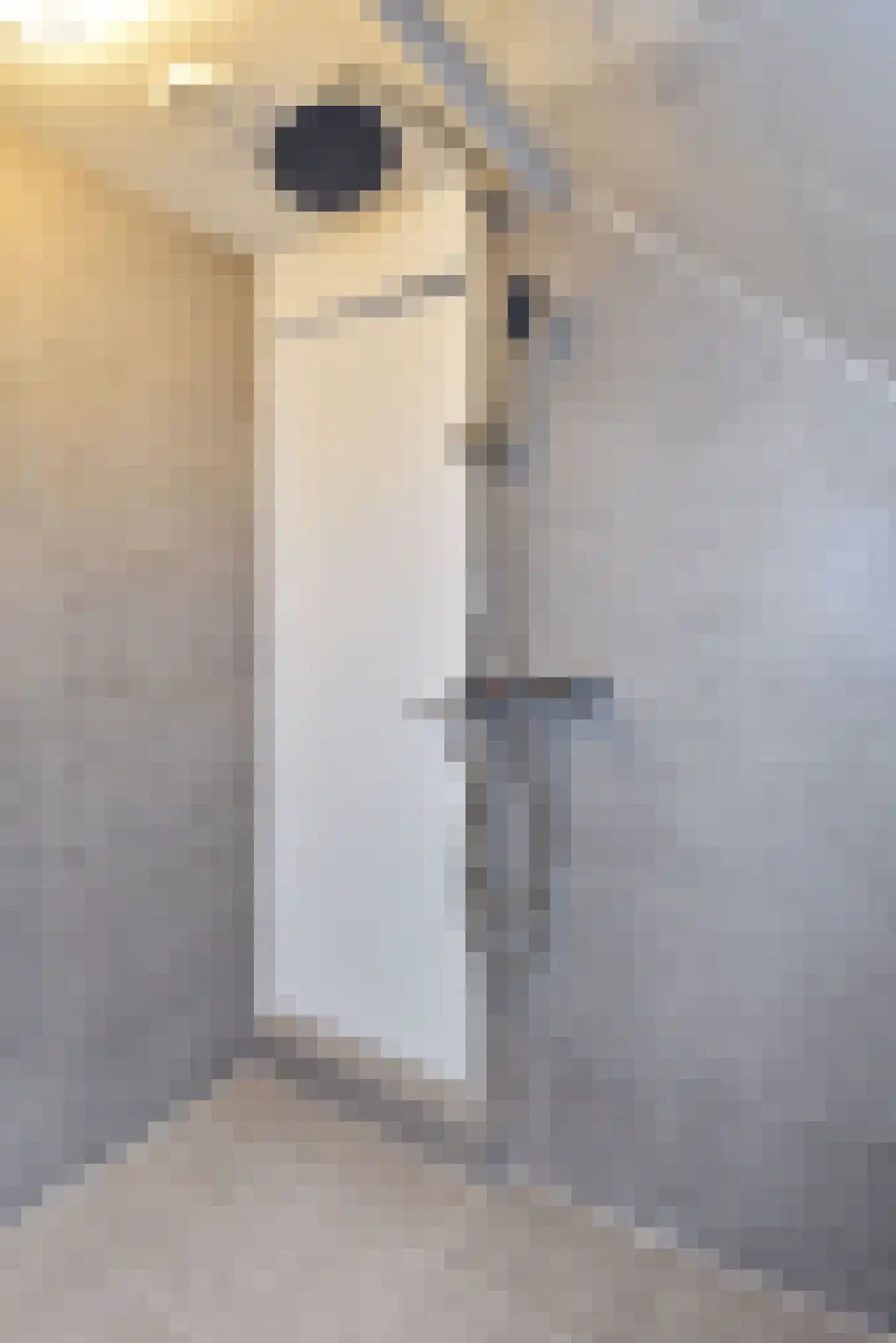 Hondiusstraat 3 Den Haag thumbnail 18