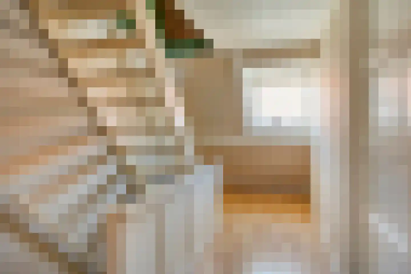 Hondiusstraat 31 Terneuzen thumbnail 14