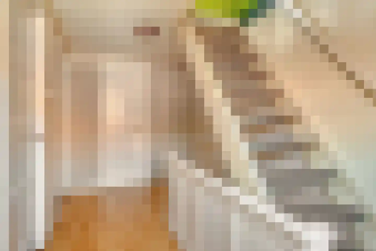 Hondiusstraat 31 Terneuzen thumbnail 15