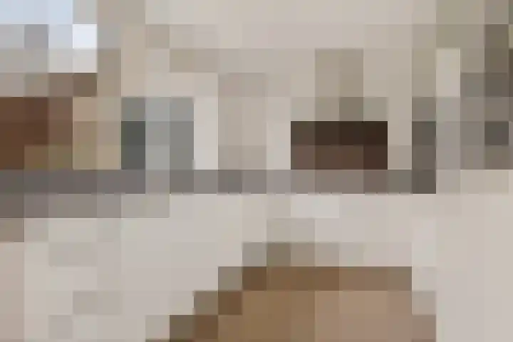 Hondiusstraat 35 Maarssen thumbnail 12