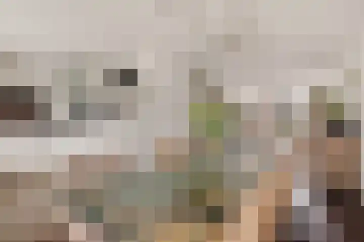 Hondiusstraat 35 Maarssen thumbnail 13