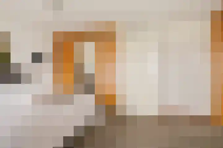 Hondiusstraat 35 Maarssen thumbnail 16