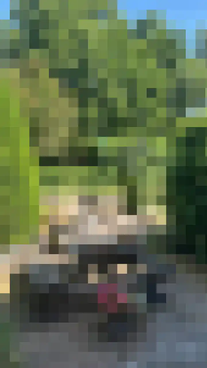 Hondiusstraat 35 Maarssen thumbnail 35