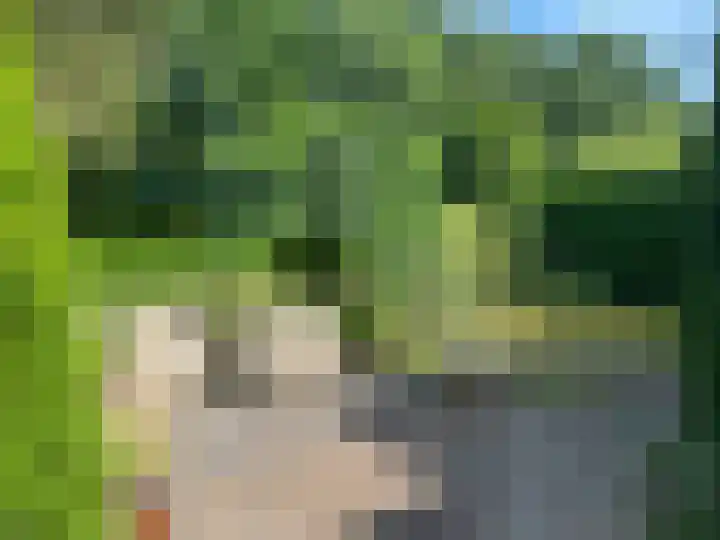 Hondiusstraat 35 Maarssen thumbnail 36