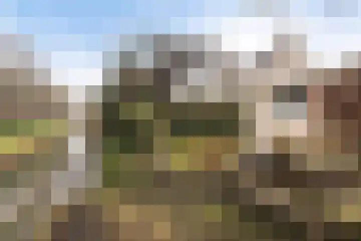 Hondiusstraat 35 Maarssen thumbnail 37