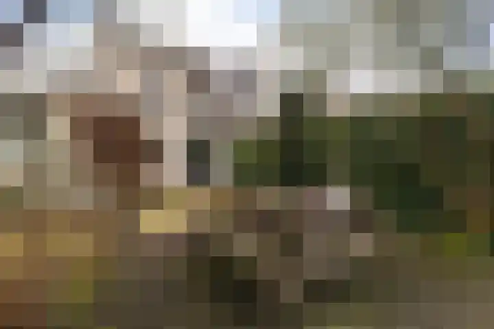 Hondiusstraat 35 Maarssen thumbnail 38