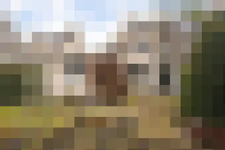 Hondiusstraat 35 Maarssen thumbnail 39