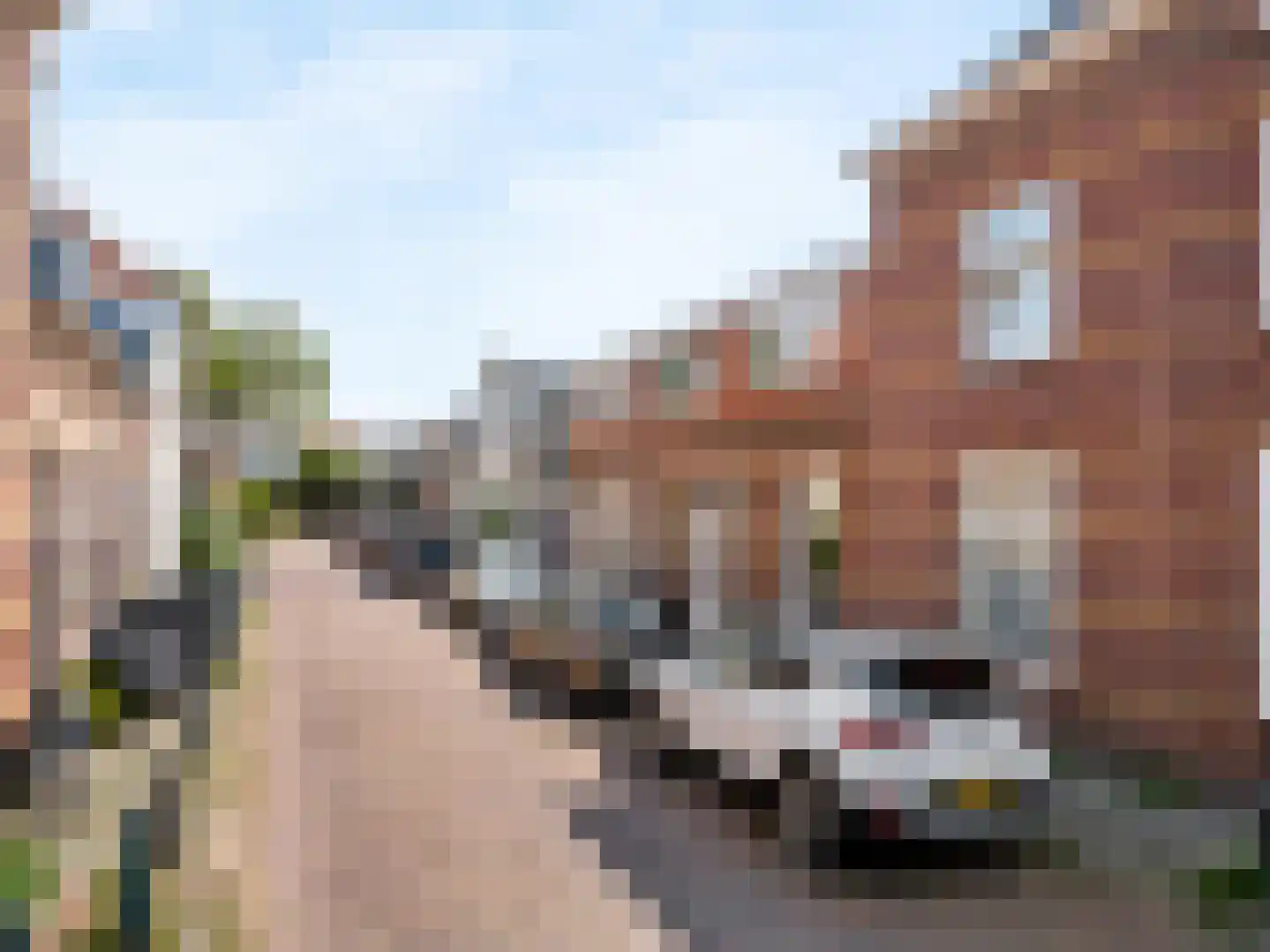 Hondiusstraat 36 Den Haag thumbnail 25