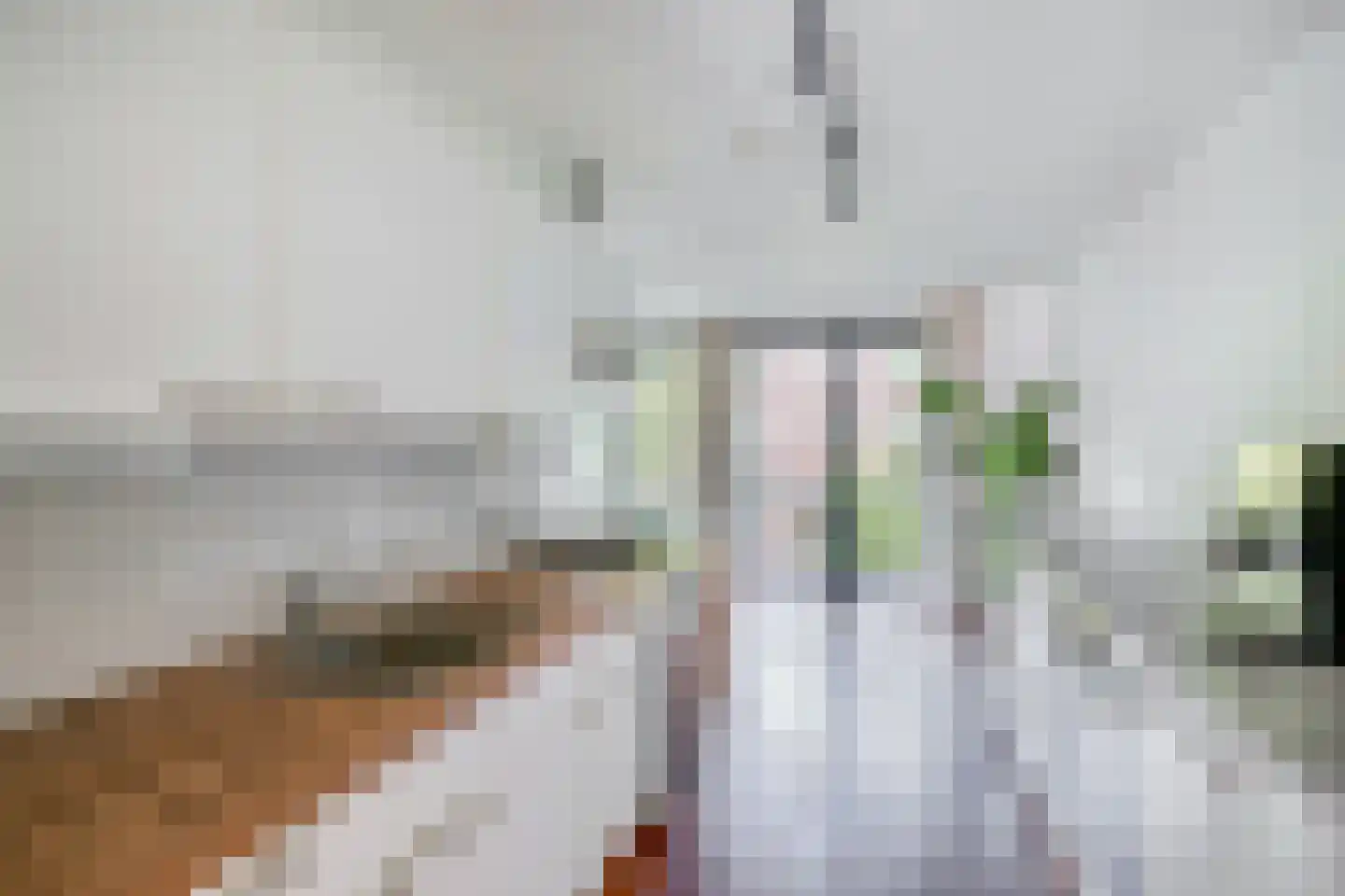 Hondiusstraat 42 D Rotterdam thumbnail 20