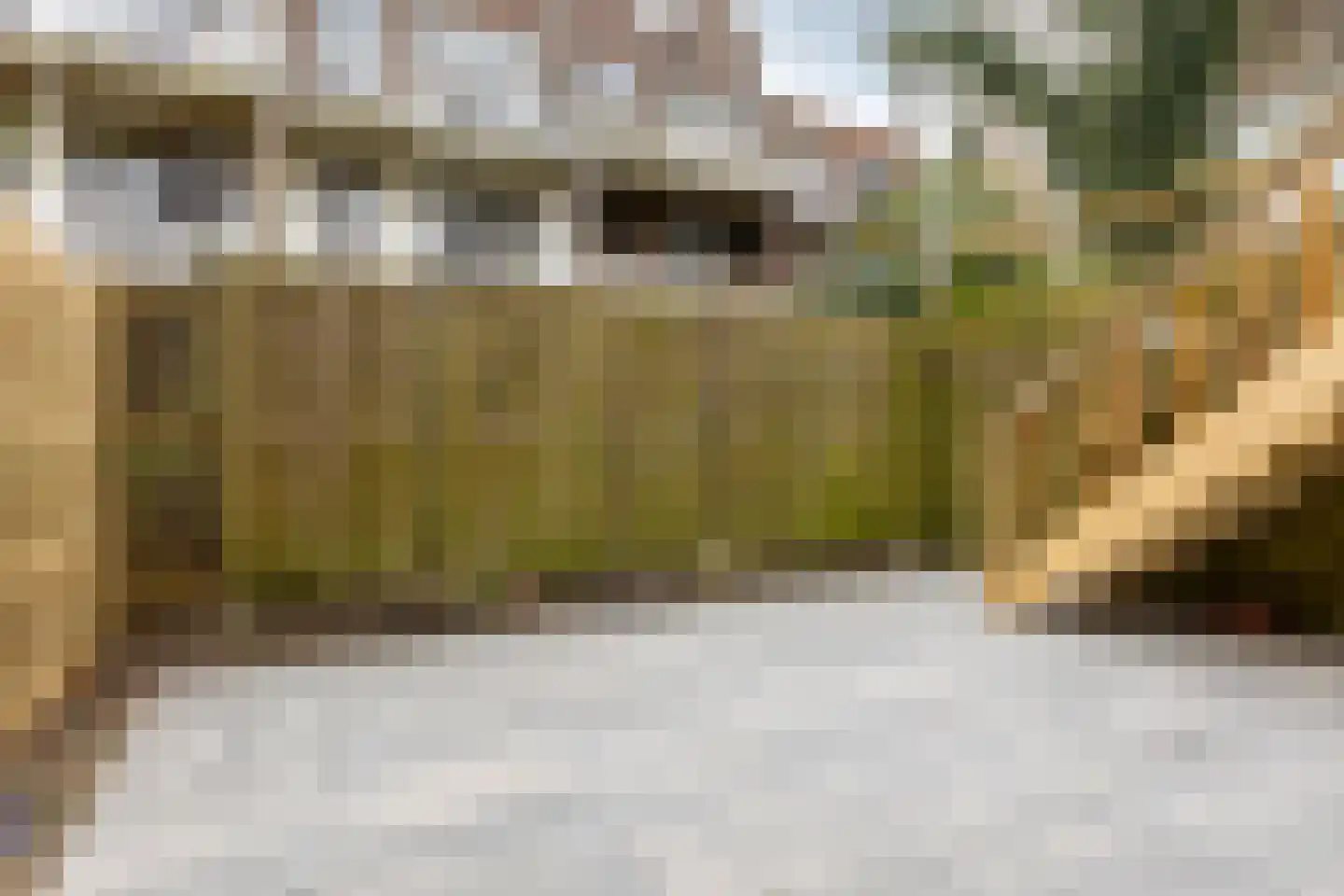 Hondiusstraat 70 A Rotterdam thumbnail 28
