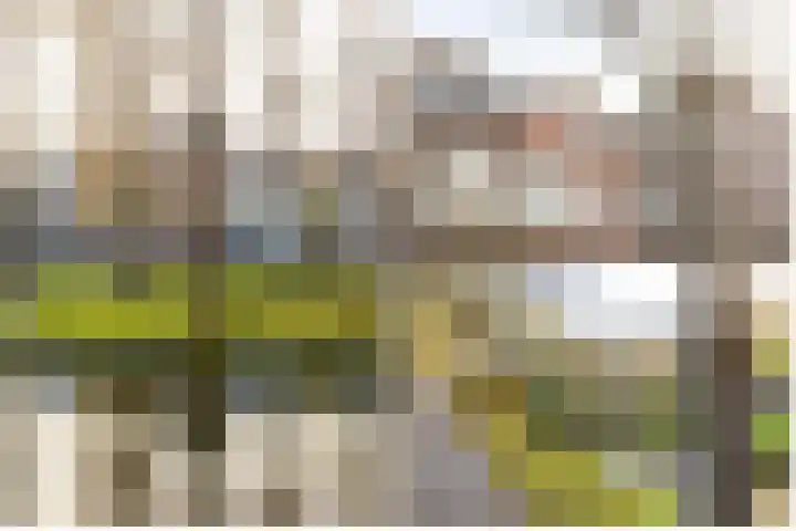 Hondiusstraat 70 C Rotterdam thumbnail 32