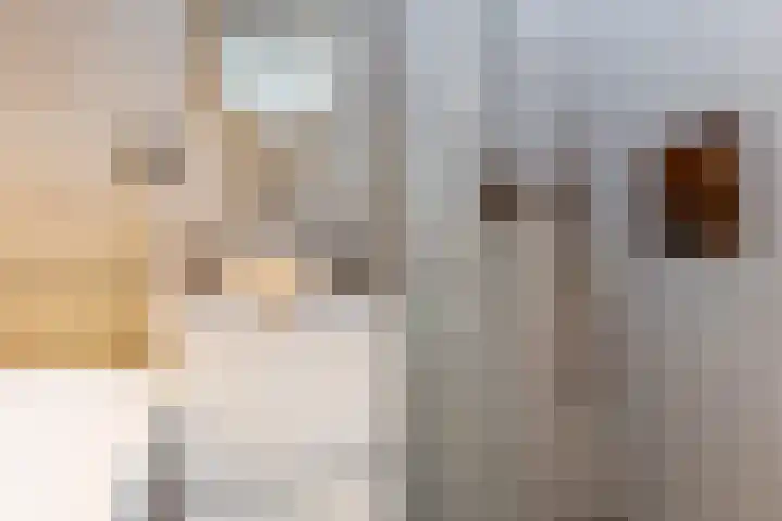 Hondiusstraat 70 C Rotterdam thumbnail 6