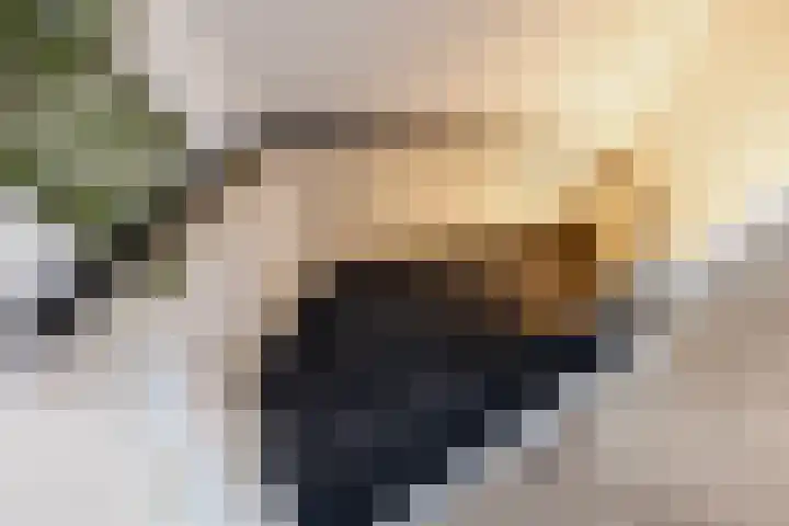 Hondiusstraat 70 C Rotterdam thumbnail 8
