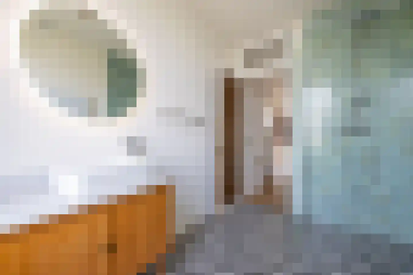 Hondiusstraat 9 C Rotterdam thumbnail 28