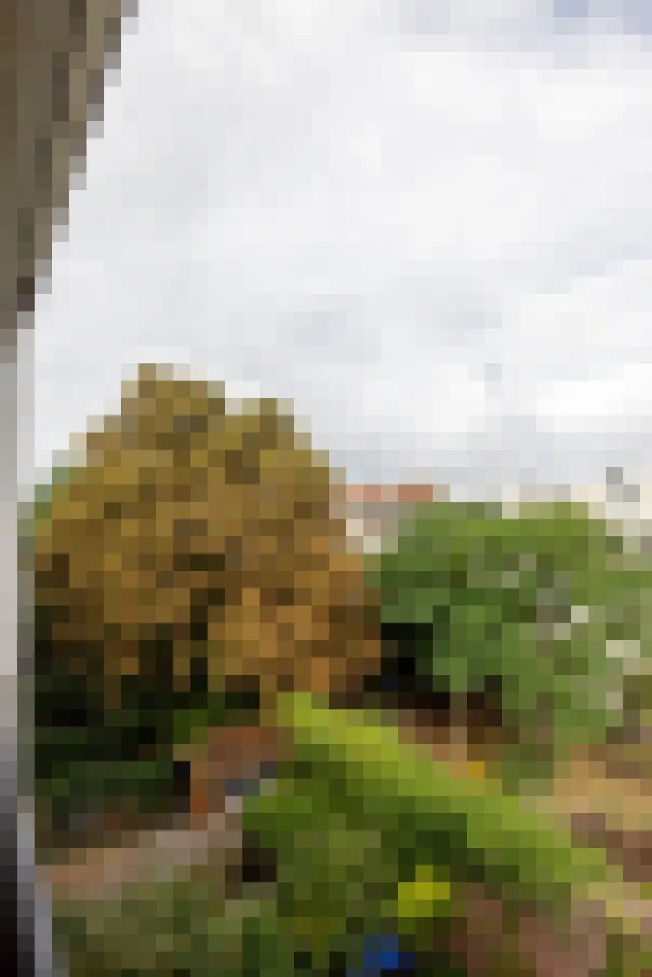 Hondiusstraat 9 C Rotterdam thumbnail 36
