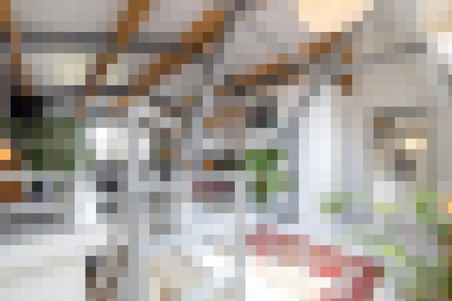Hondiusstraat 9 C Rotterdam thumbnail 8