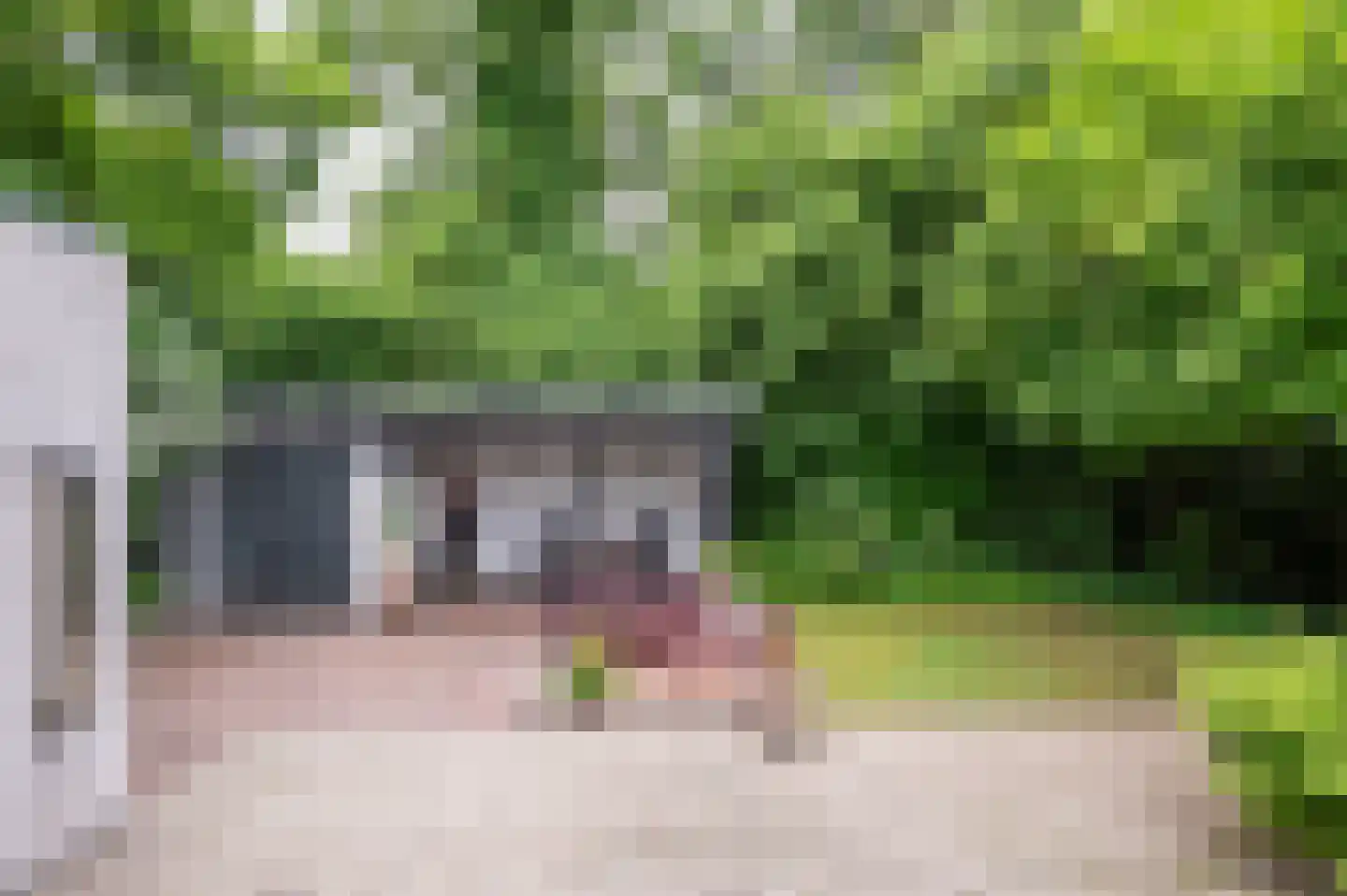 Hondsberg 15 Veldhoven thumbnail 30