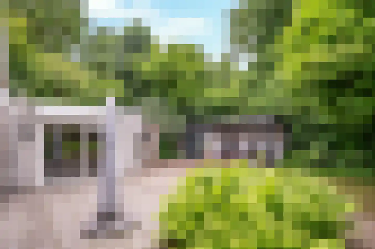Hondsberg 15 Veldhoven thumbnail 31