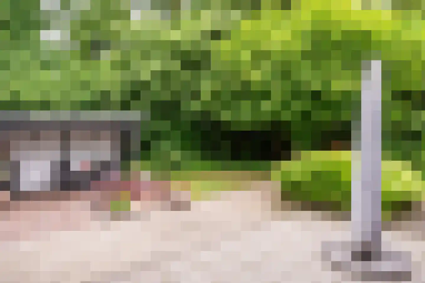 Hondsberg 15 Veldhoven thumbnail 32