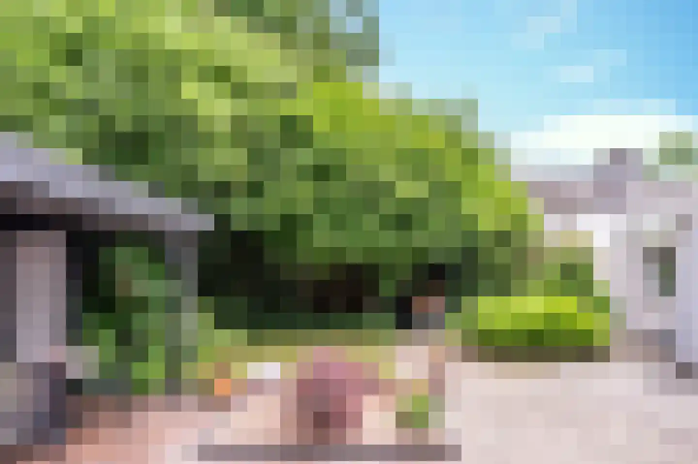 Hondsberg 15 Veldhoven thumbnail 33