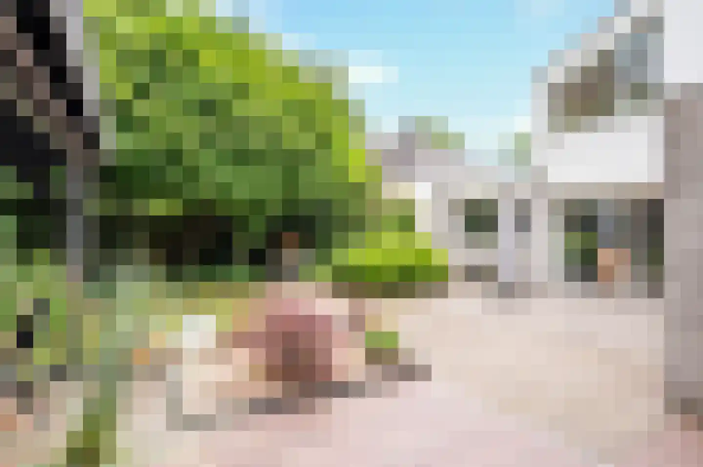 Hondsberg 15 Veldhoven thumbnail 34
