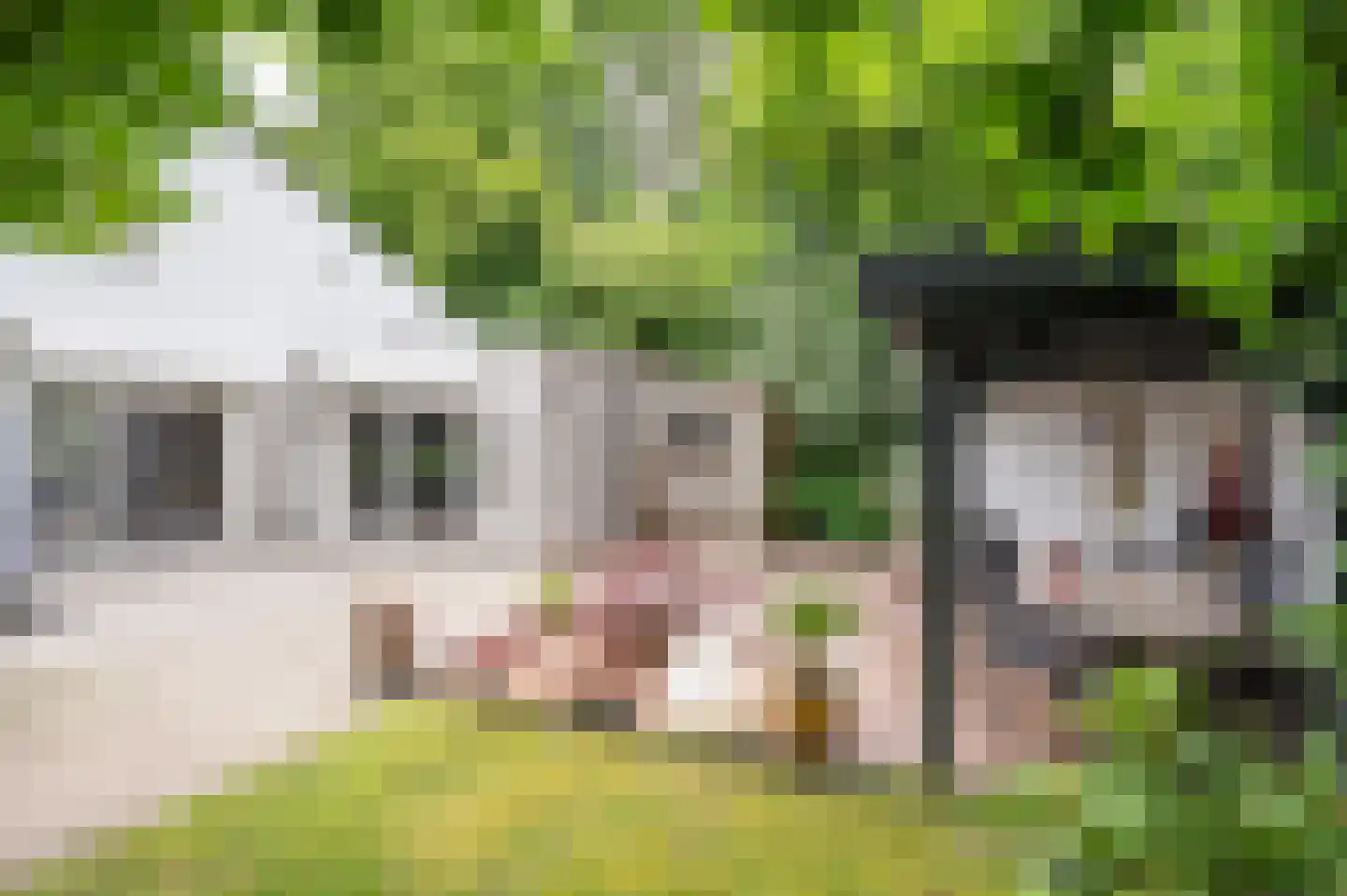 Hondsberg 15 Veldhoven thumbnail 35