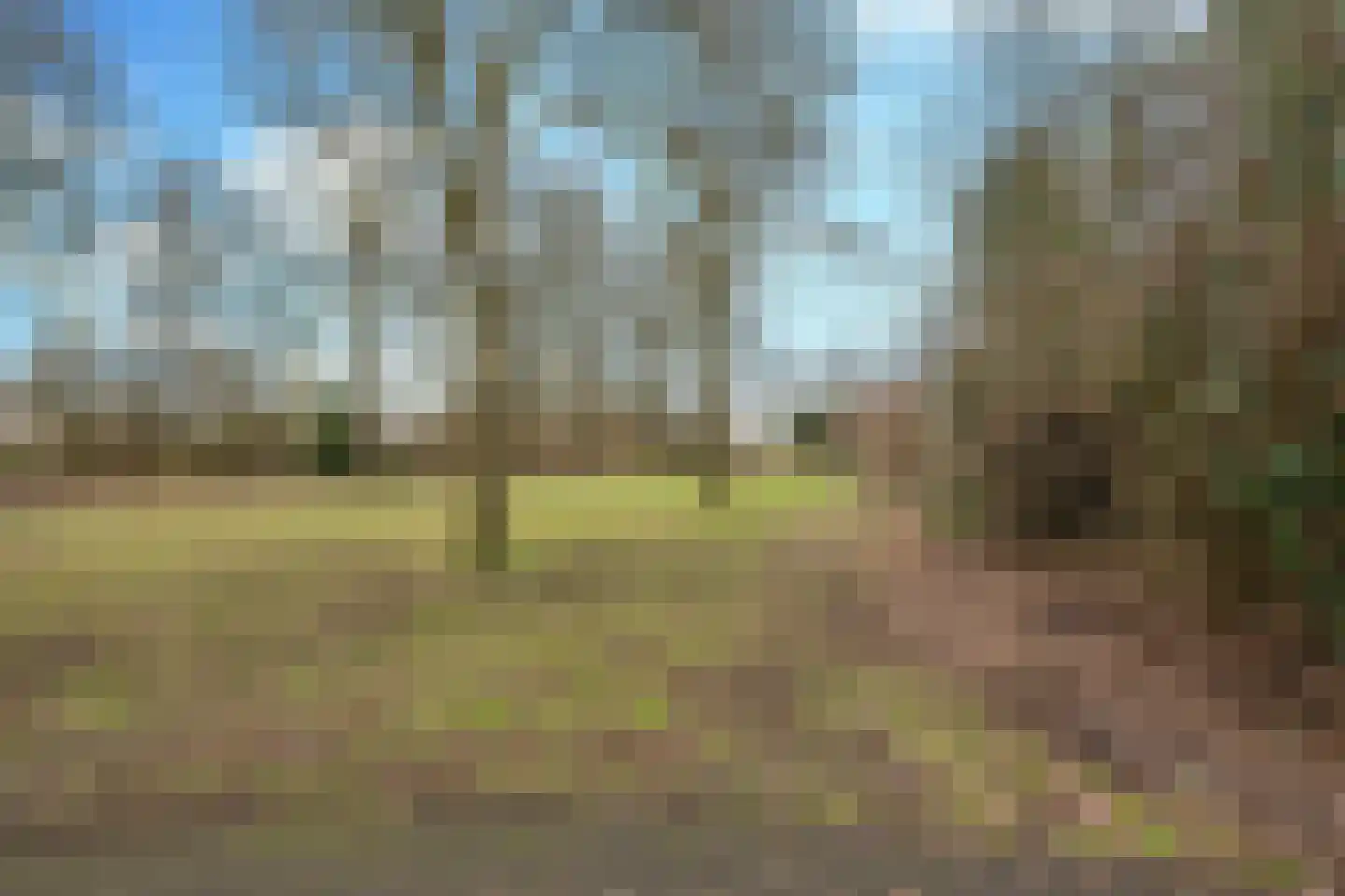 Hondsberg 15 Veldhoven thumbnail 40
