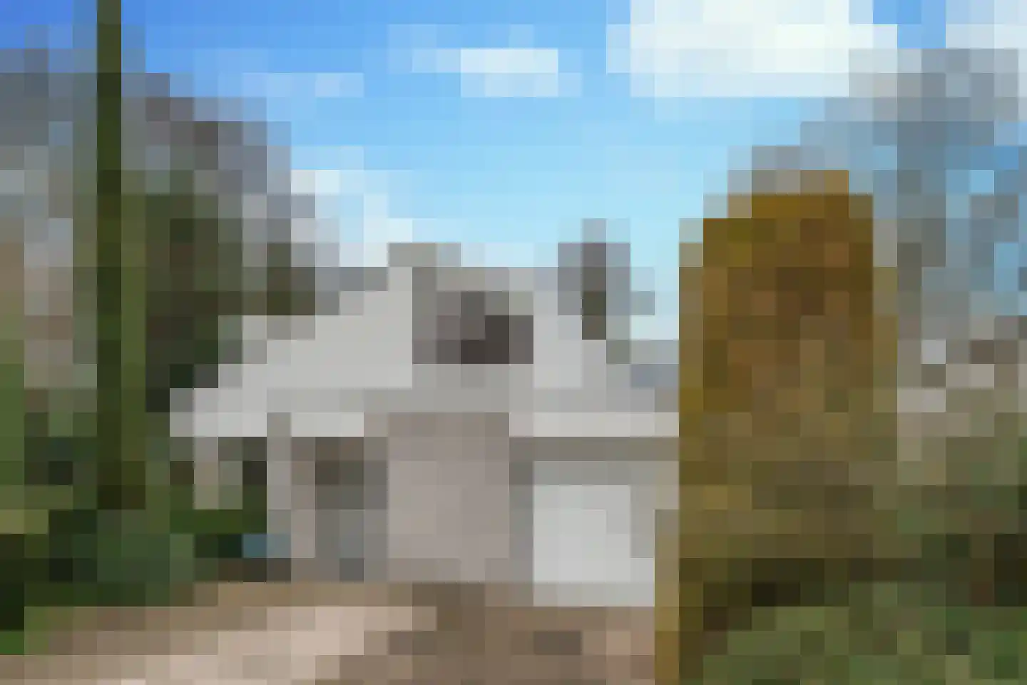 Hondsberg 15 Veldhoven thumbnail 42