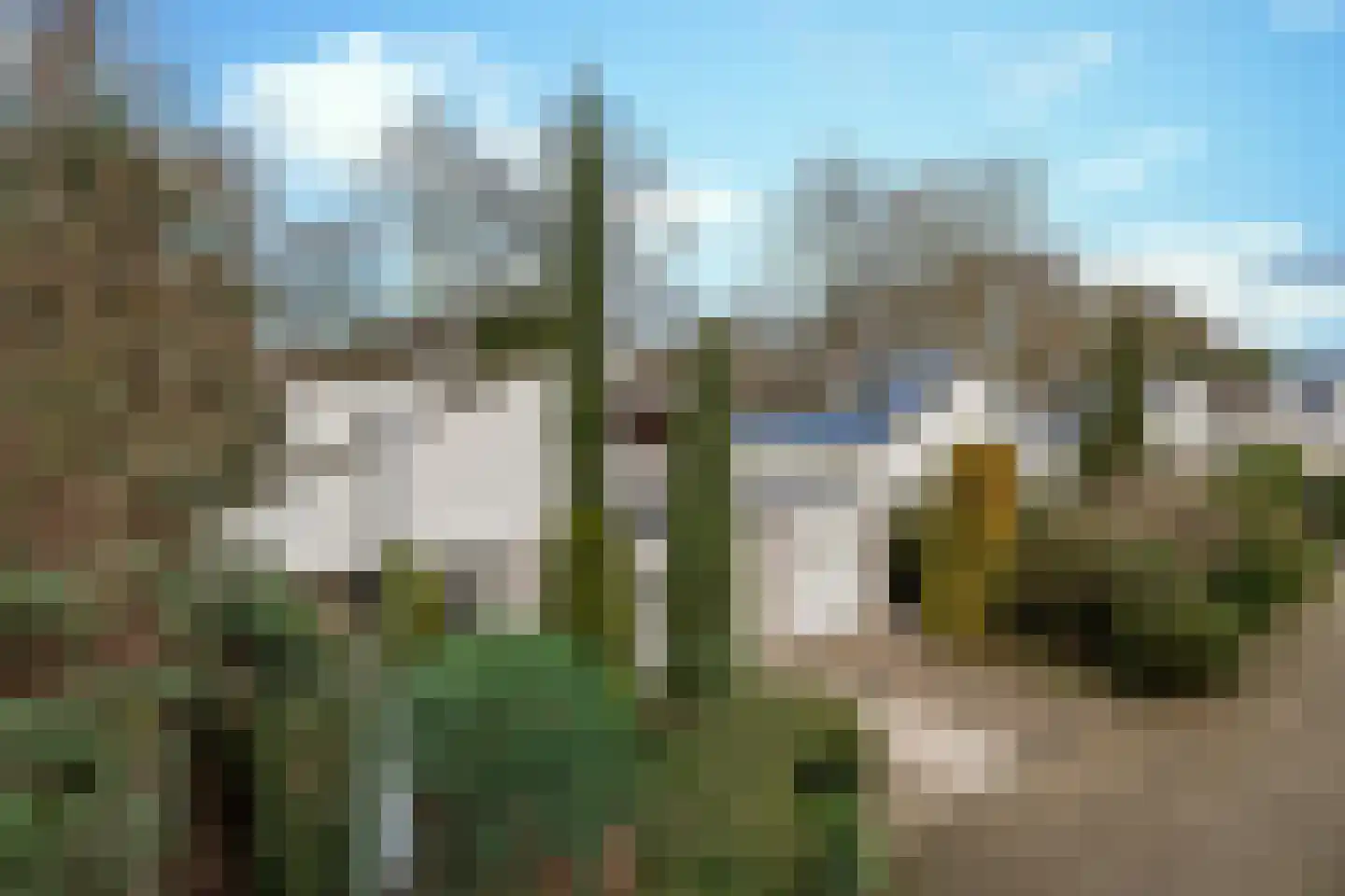 Hondsberg 15 Veldhoven thumbnail 43