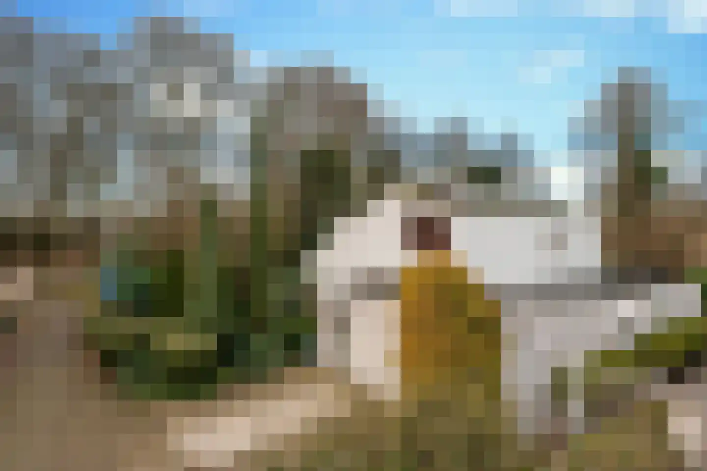 Hondsberg 15 Veldhoven thumbnail 44