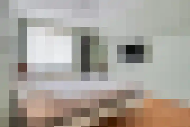 Hondsberg 20 Veldhoven thumbnail 20