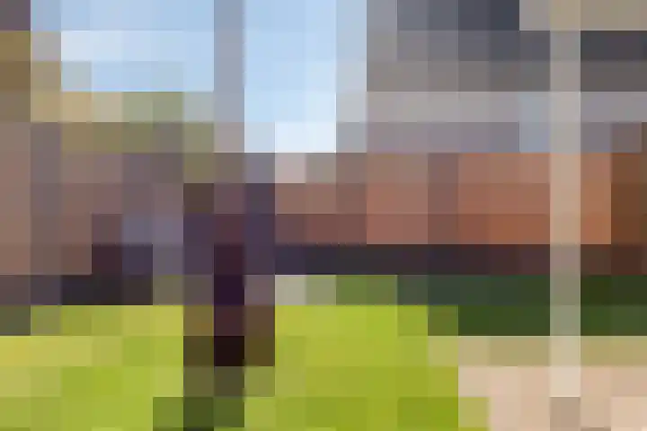 Hondsberg 20 Veldhoven thumbnail 33