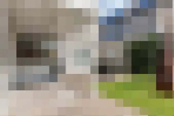 Hondsberg 20 Veldhoven thumbnail 35