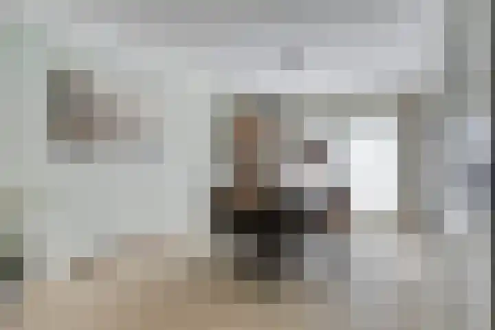 Hondsberg 20 Veldhoven thumbnail 7